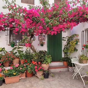 La Buganvilla De Juana Y Antonio Сasa de vacaciones Casares
